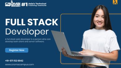 Full Stack Developer